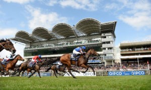 Top Facts About Horseracing that You need to Know  